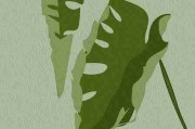 必看·黑料网app价值剖析：超全攻略