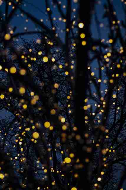 妻社网页版专业攻略创作者视角