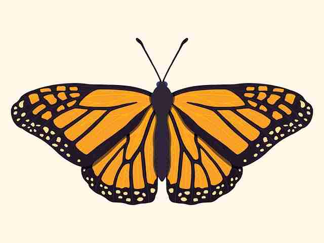 重磅重塑P站入口,潜力爆发【附案例】