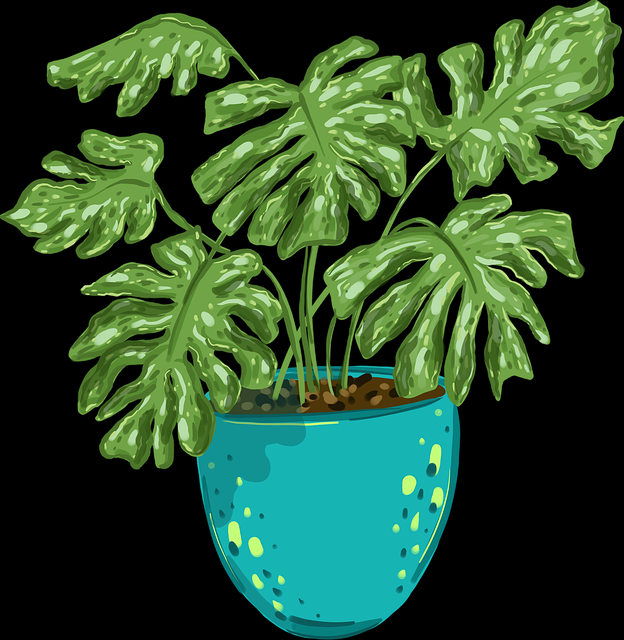 每日大赛91创举：130步揭开价值逻辑