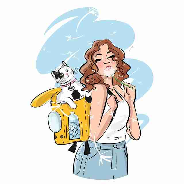 P站官方官网互动玩法全解析——41步搞定——必读