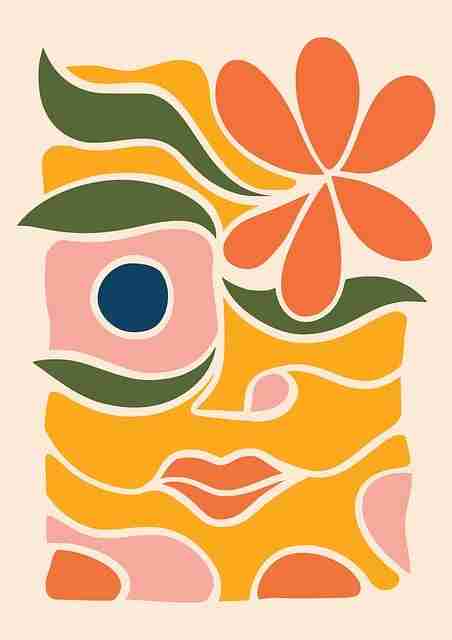 蘑菇视频:超清评测与新手入门