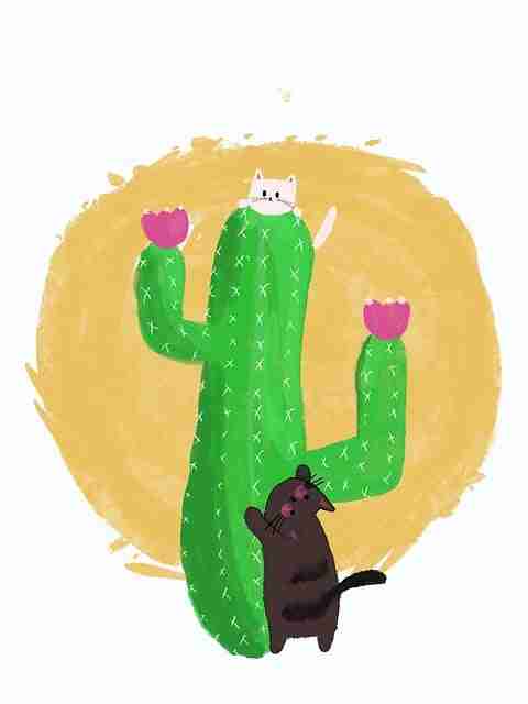 妻社:多维体验与黑科技