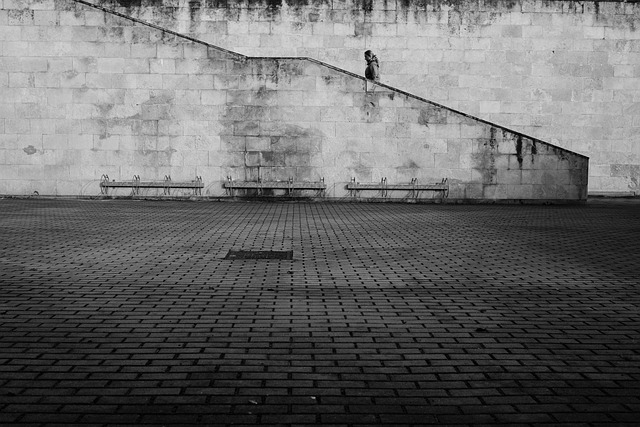 巅峰·新91视频2024商业模式(深度)