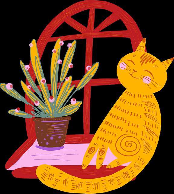 超清妻社探讨：高能亮点