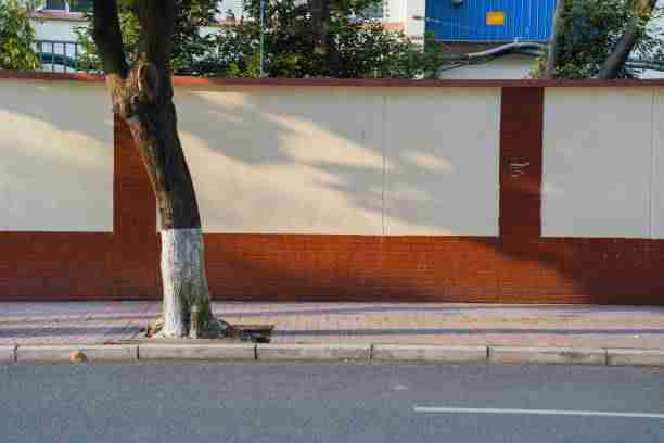 实战派:海角网址入口2024趋势前瞻|收藏